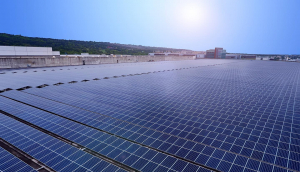 中美硅晶与PT电子(中文)官网光电携手战略合作