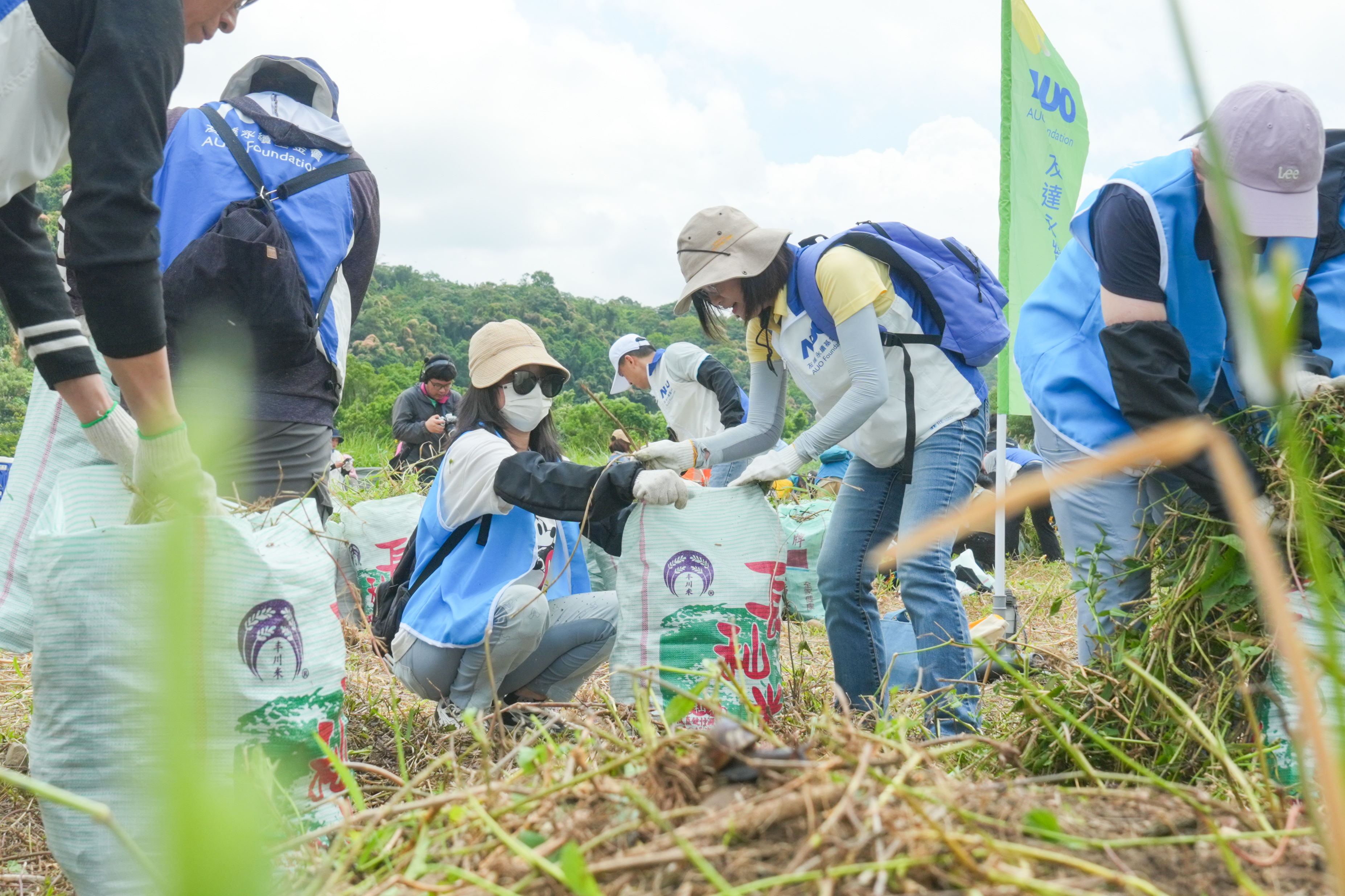 PT电子(中文)官网除蔓防治計畫，除了鎖定霄裡溪沿岸3.2公里移除外來入侵種小花蔓澤蘭，並進行物種與空拍調查，共記錄91科181屬239種維管束植物，顯示該區域具高度生態價值